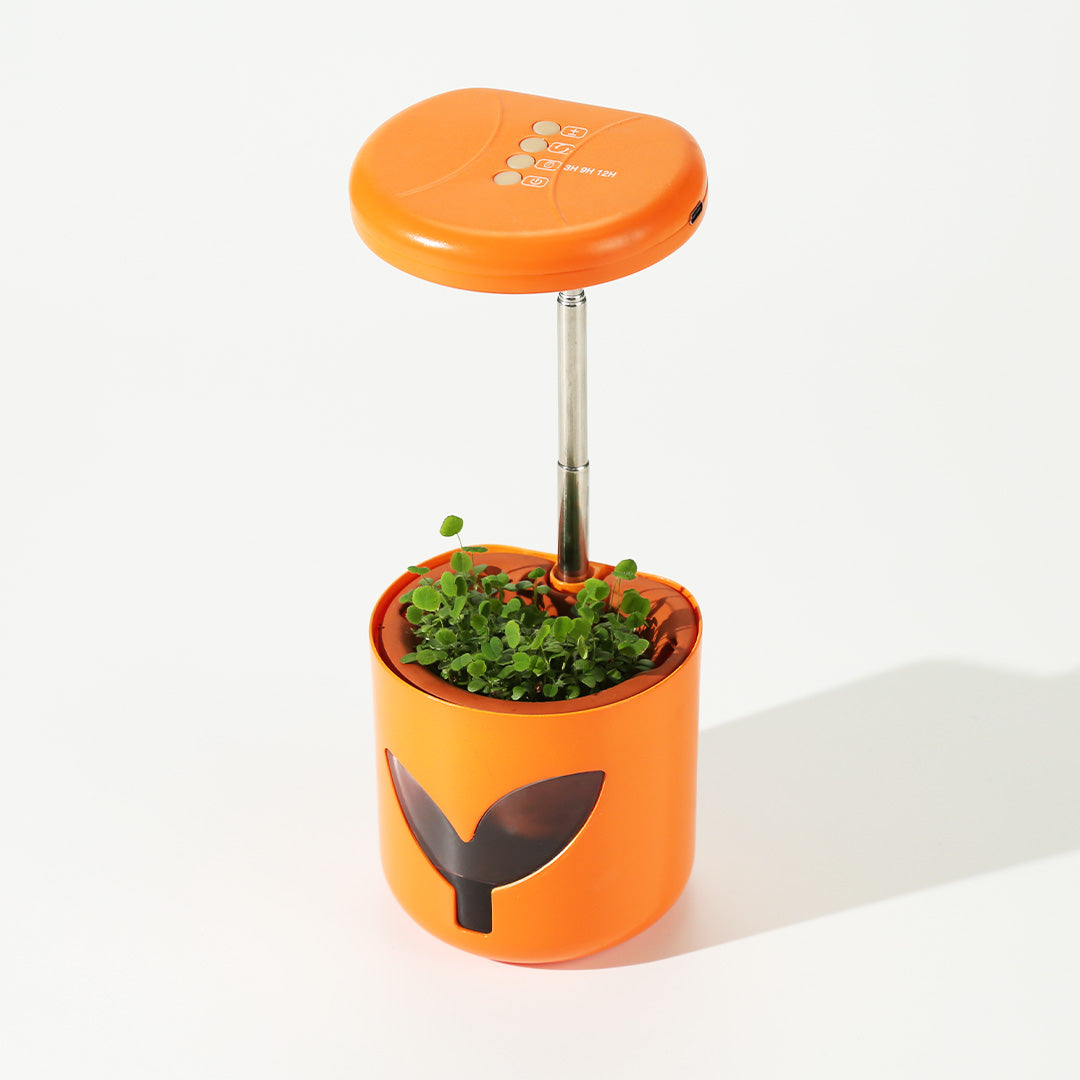 Indoor Hydroponics Planter With LED Grow Light | MarsPlanter
